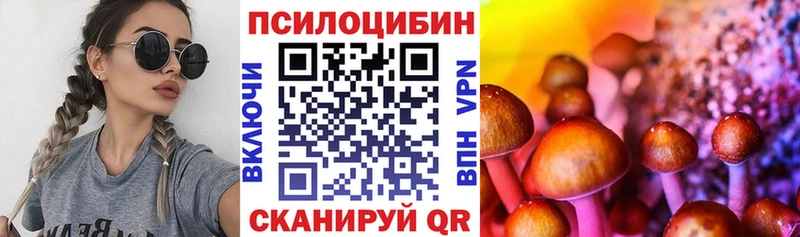 Псилоцибиновые грибы MAGIC MUSHROOMS  Купить где  Лахденпохья 